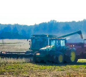 Soybean harvest