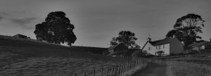 Estate Planning Services