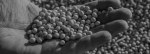 Grain Contracts