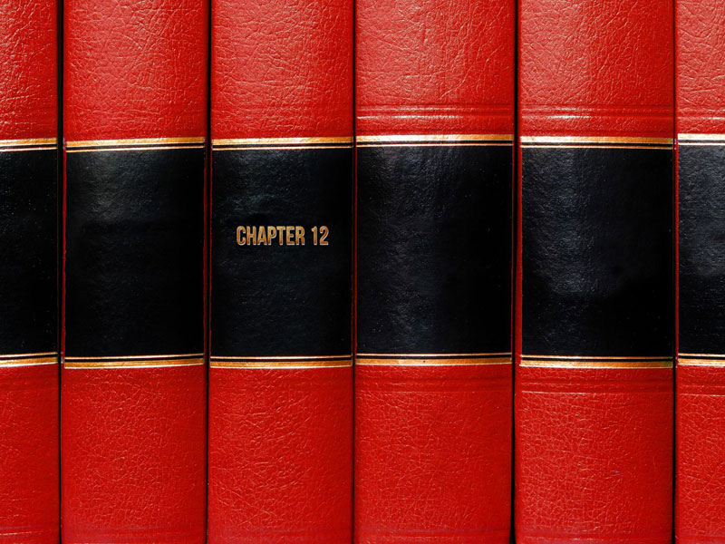 Chapter 12 Bankruptcy / Restructuring